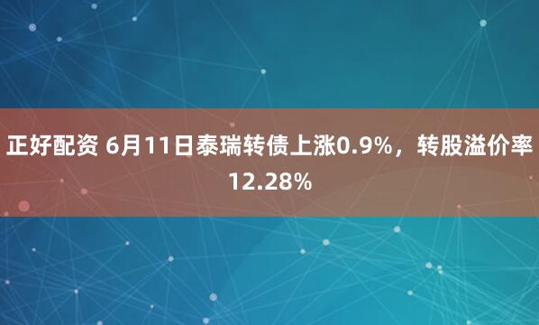 正好配资 6月11日泰瑞转债上涨0.9%,转股溢价率12.28%