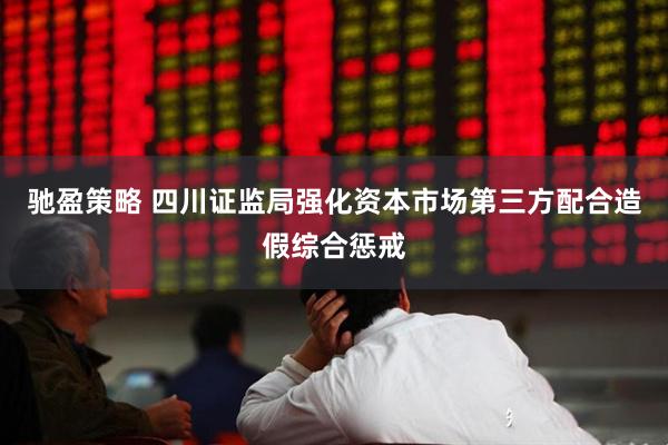 驰盈策略 四川证监局强化资本市场第三方配合造假综合惩戒